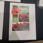 5x7 print