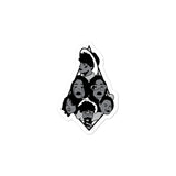 Masks Sticker