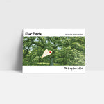 Sending Love Postcards
